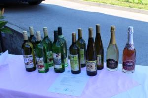 Protokolarna vina 2014 Društva vinogradnikov Sveta Trojica za leto 2014 2